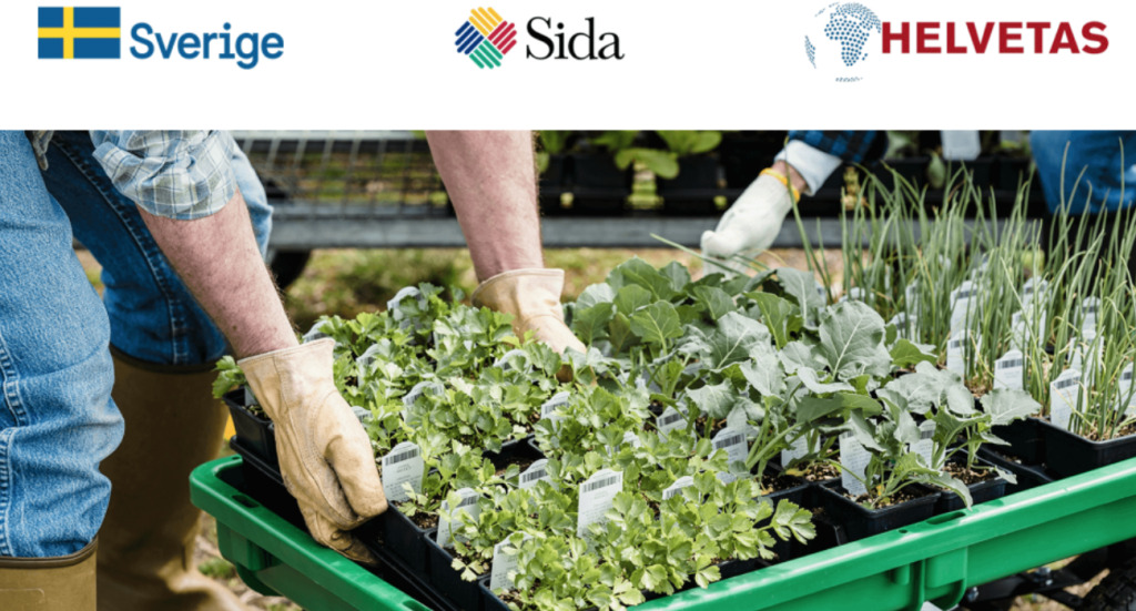 Main - 2025-02-14T124510.143.png